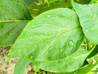 Similar image 704508