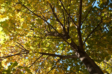 Similar image 704618