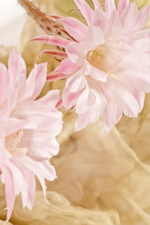 Similar image 704622