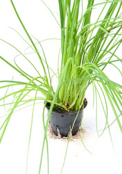 Similar image 704685