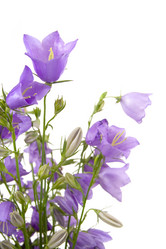 Similar image 704721