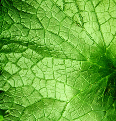 Similar image 704741