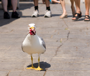 Similar image 704742