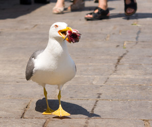 Similar image 704743