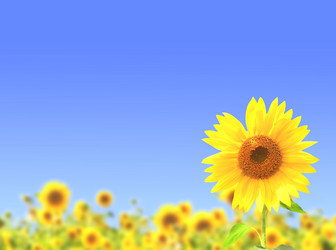 Similar image 704755