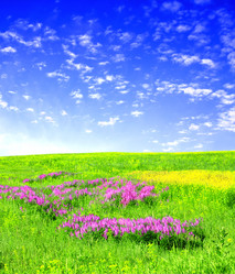 Similar image 704756