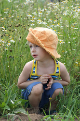 Similar image 704962