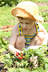 Similar image 704963