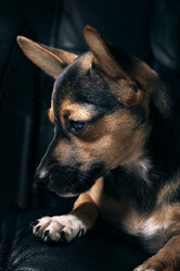 Similar image 705027