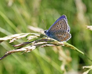 Similar image 705042