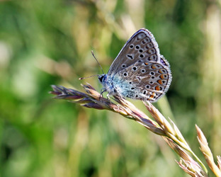 Similar image 705044