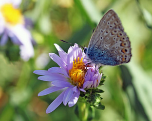 Similar image 705046