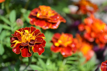 Similar image 705067