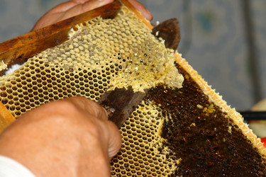 Similar image 705097