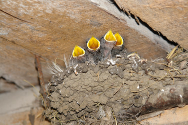 Similar image 705099