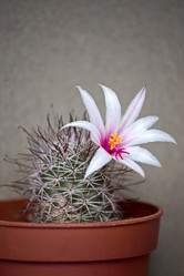 Similar image 705117