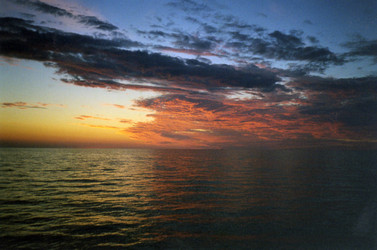 Similar image 705128