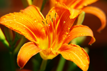 Similar image 705133