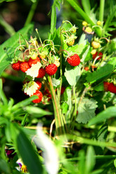 Similar image 705135