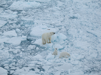 Similar image 705144