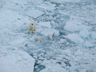 Similar image 705146