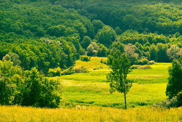 Similar image 705156