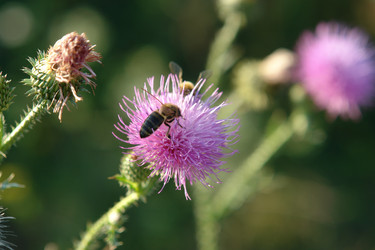 Similar image 705157