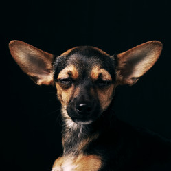 Similar image 705161