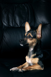 Similar image 705162