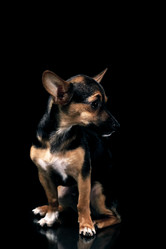 Similar image 705164