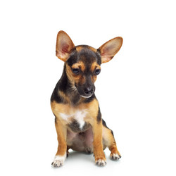 Similar image 705165