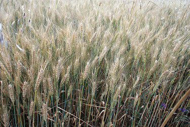 Similar image 705171