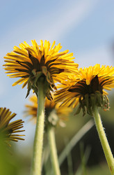 Similar image 705194