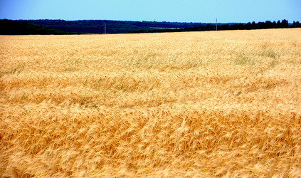 Similar image 705229