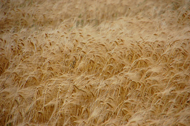 Similar image 705230