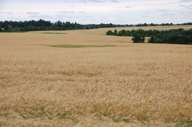 Similar image 705231