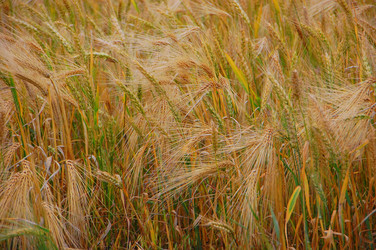 Similar image 705235