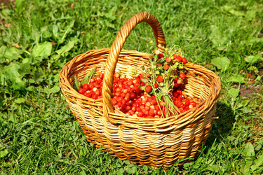 Similar image 705241