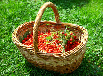 Similar image 705243