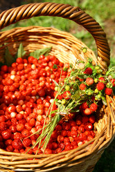 Similar image 705244