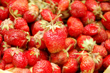 Similar image 705246