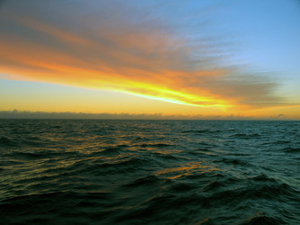 Similar image 705280