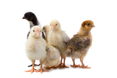 Similar image 705327