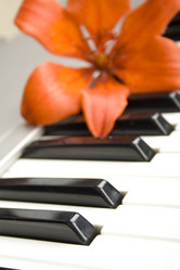 Similar image 705332