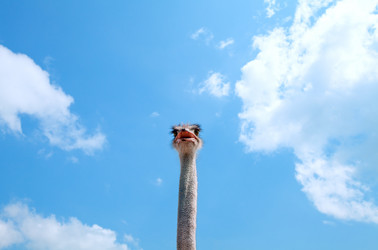 Similar image 705334