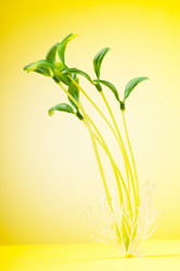 Similar image 705343