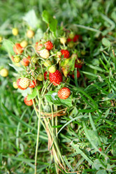 Similar image 705347