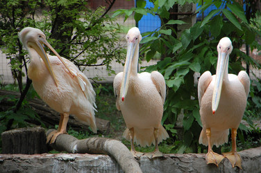 Similar image 705391