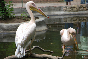 Similar image 705392