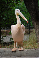 Similar image 705393